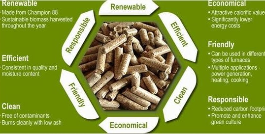 Biomass Pellet