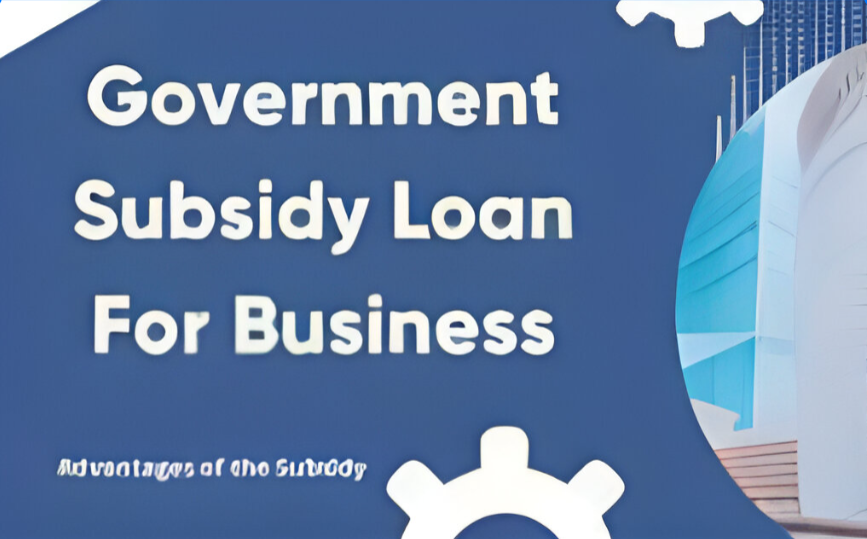 Loan & subsidy